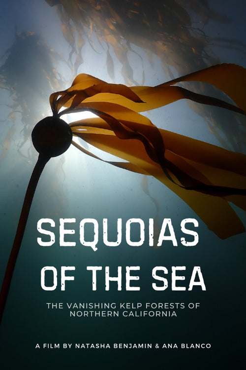 Sequoias of the Sea